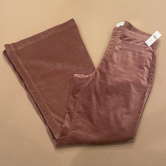 Pilcro Pants - Pilcro Velvet Pull-On Flare